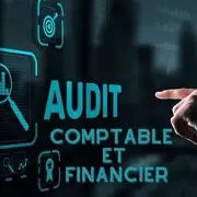 Audit Secure